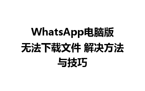 WhatsApp电脑版无法下载文件 解决方法与技巧