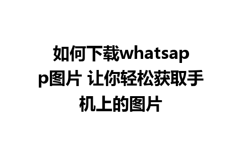 如何下载whatsapp图片 让你轻松获取手机上的图片