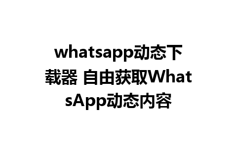 whatsapp动态下载器 自由获取WhatsApp动态内容