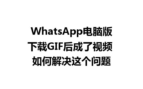 WhatsApp电脑版下载GIF后成了视频 如何解决这个问题