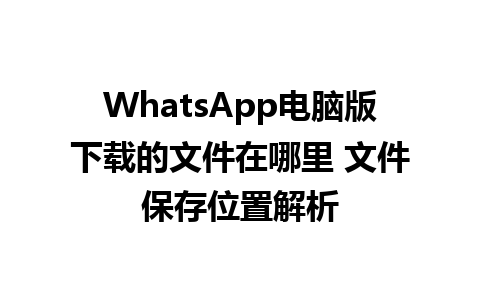 WhatsApp电脑版下载的文件在哪里 文件保存位置解析