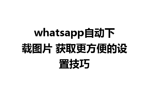 whatsapp自动下载图片 获取更方便的设置技巧