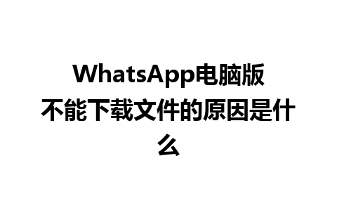 WhatsApp电脑版不能下载文件的原因是什么