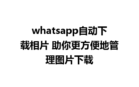 whatsapp自动下载相片 助你更方便地管理图片下载