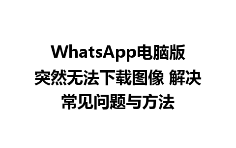 WhatsApp电脑版突然无法下载图像 解决常见问题与方法