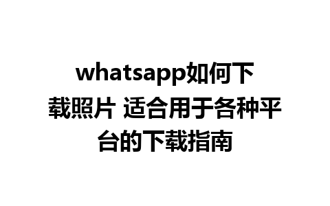 whatsapp如何下载照片 适合用于各种平台的下载指南