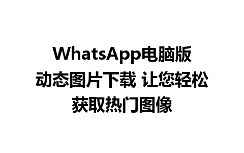 WhatsApp电脑版动态图片下载 让您轻松获取热门图像