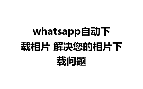 whatsapp自动下载相片 解决您的相片下载问题