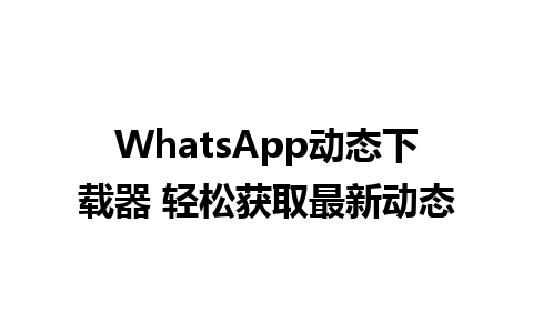 WhatsApp动态下载器 轻松获取最新动态