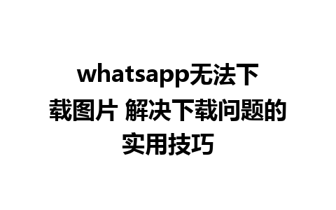 whatsapp无法下载图片 解决下载问题的实用技巧