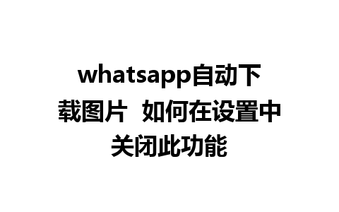 whatsapp自动下载图片  如何在设置中关闭此功能