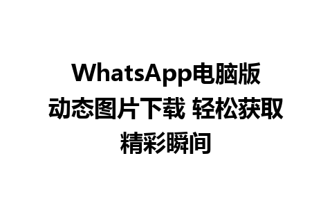 WhatsApp电脑版动态图片下载 轻松获取精彩瞬间