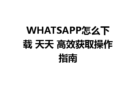 WHATSAPP怎么下载 天天 高效获取操作指南