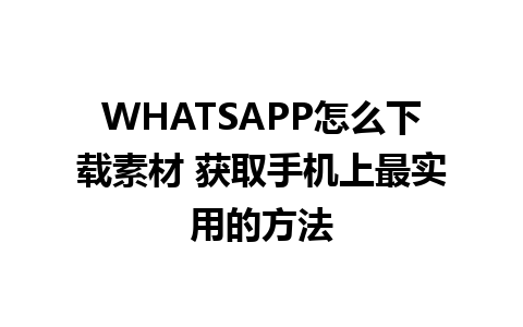 WHATSAPP怎么下载素材 获取手机上最实用的方法