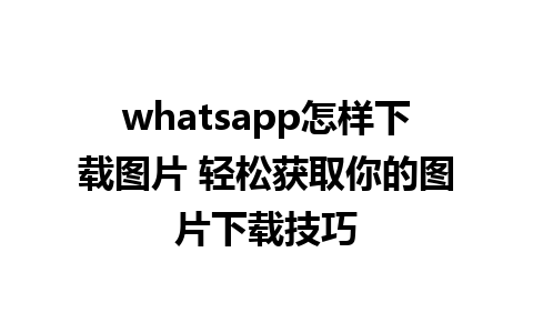 whatsapp怎样下载图片 轻松获取你的图片下载技巧