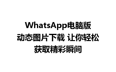 WhatsApp电脑版动态图片下载 让你轻松获取精彩瞬间