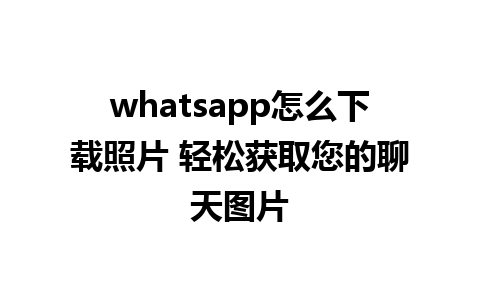 whatsapp怎么下载照片 轻松获取您的聊天图片