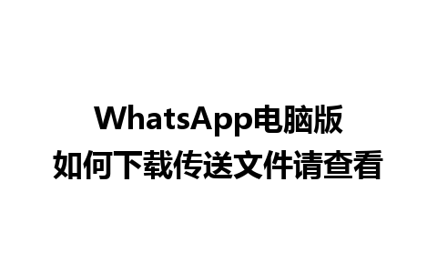 WhatsApp电脑版如何下载传送文件请查看