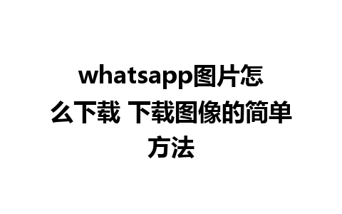 whatsapp图片怎么下载 下载图像的简单方法