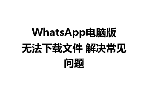 WhatsApp电脑版无法下载文件 解决常见问题