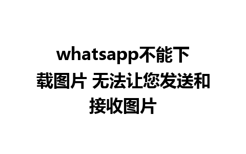 whatsapp不能下载图片 无法让您发送和接收图片