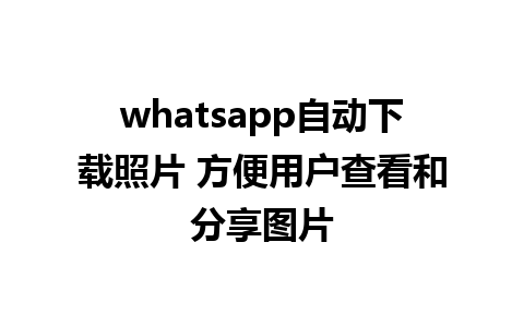 whatsapp自动下载照片 方便用户查看和分享图片