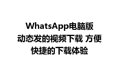 WhatsApp电脑版动态发的视频下载 方便快捷的下载体验