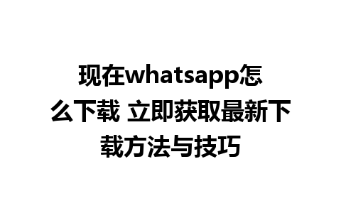 现在whatsapp怎么下载 立即获取最新下载方法与技巧