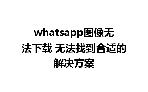 whatsapp图像无法下载 无法找到合适的解决方案